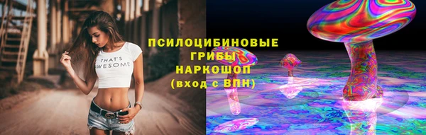 молекула духа Нея