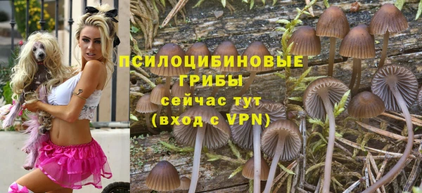 молекула духа Нея
