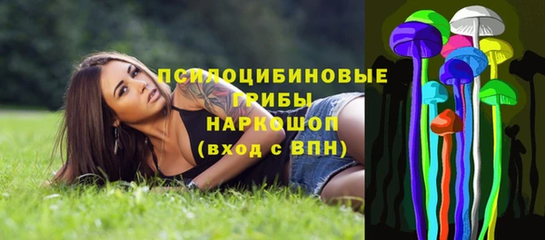 молекула духа Нея