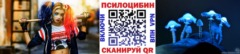 маркетплейс Telegram  Рудня  Галлюциногенные грибы Magic Shrooms 